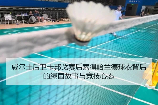 威尔士后卫卡邦戈赛后索得哈兰德球衣背后的绿茵故事与竞技心态